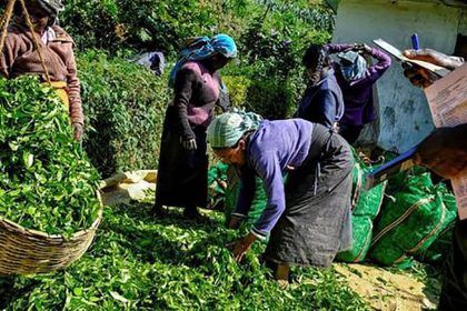 Labors