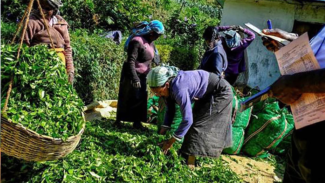 Labors
