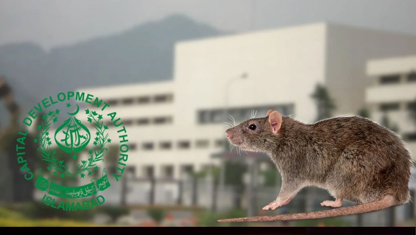 Pakistan-Parliment