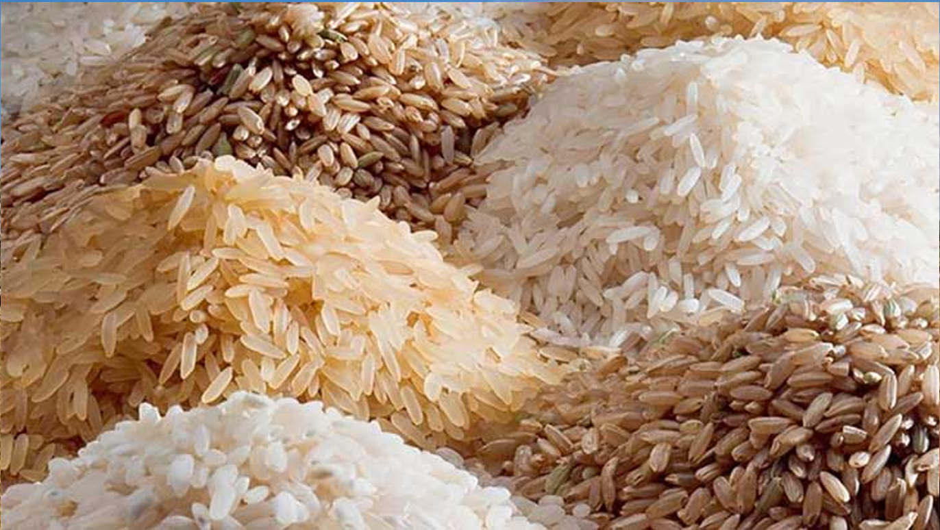 Rice