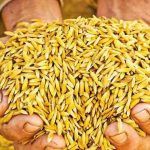 වී මිලදී ගැනීම