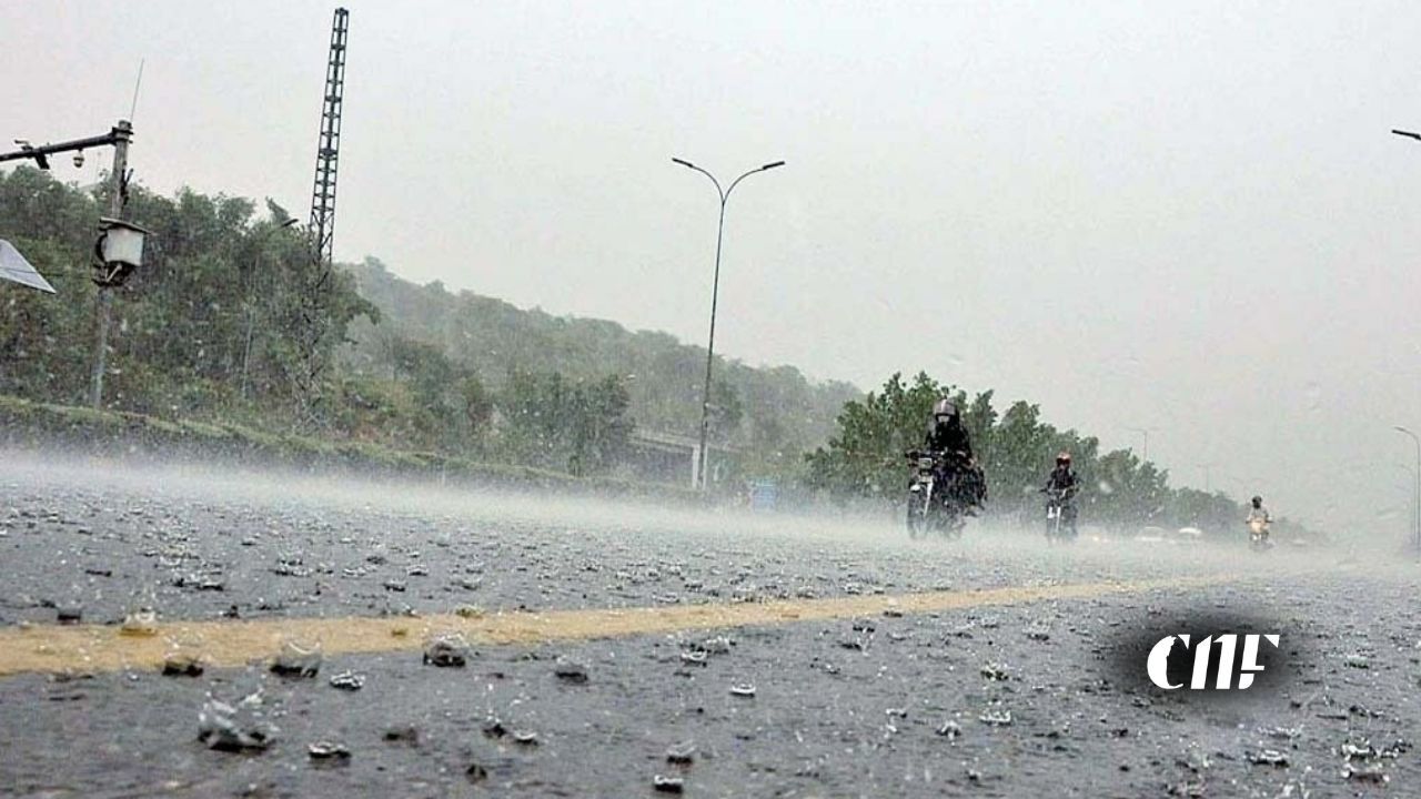 Weather
