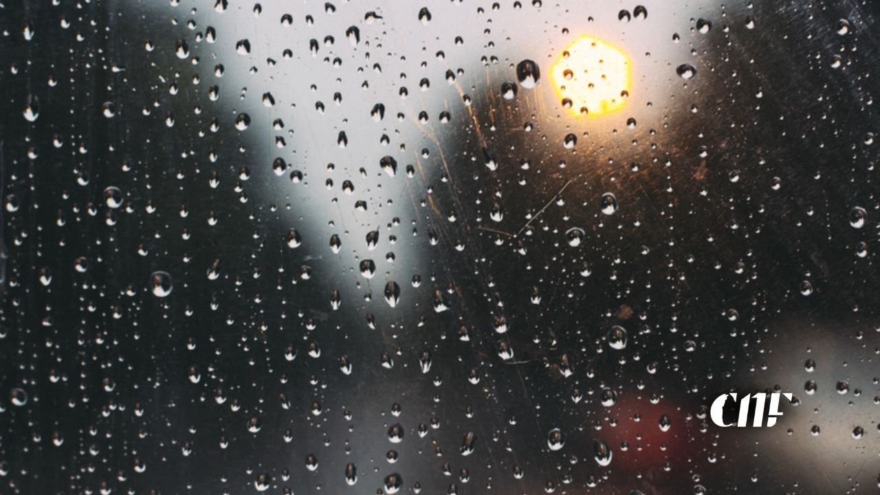 Weather