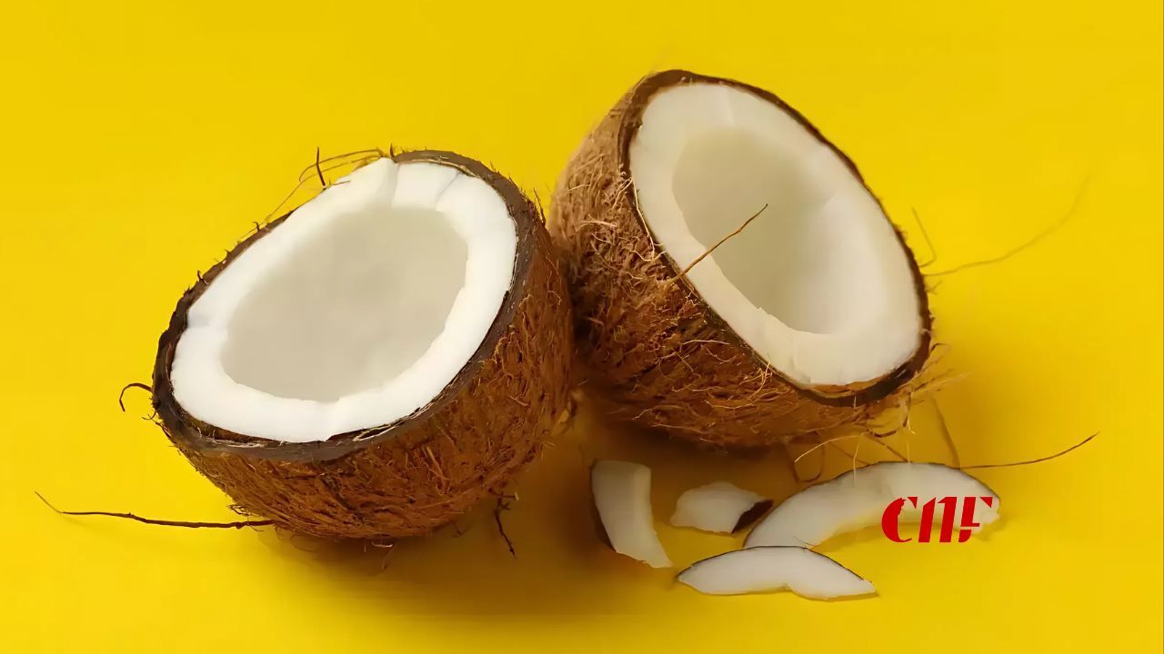 පොල් ගෙඩි