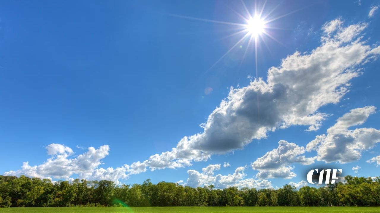 Weather