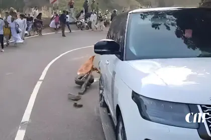 ඇල්ල බස් අනතුර