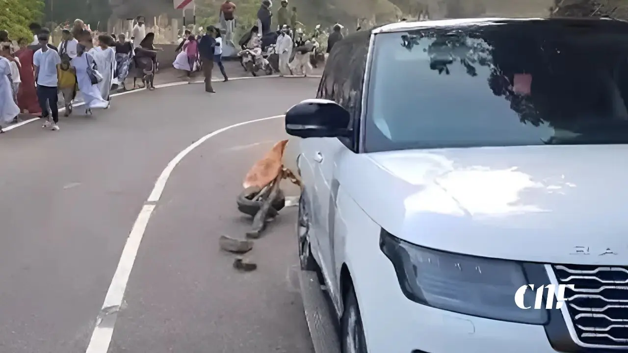 ඇල්ල බස් අනතුර